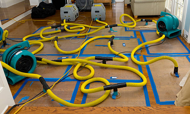 Professional Crawl Space Water Removal technician working in Somerset, VA